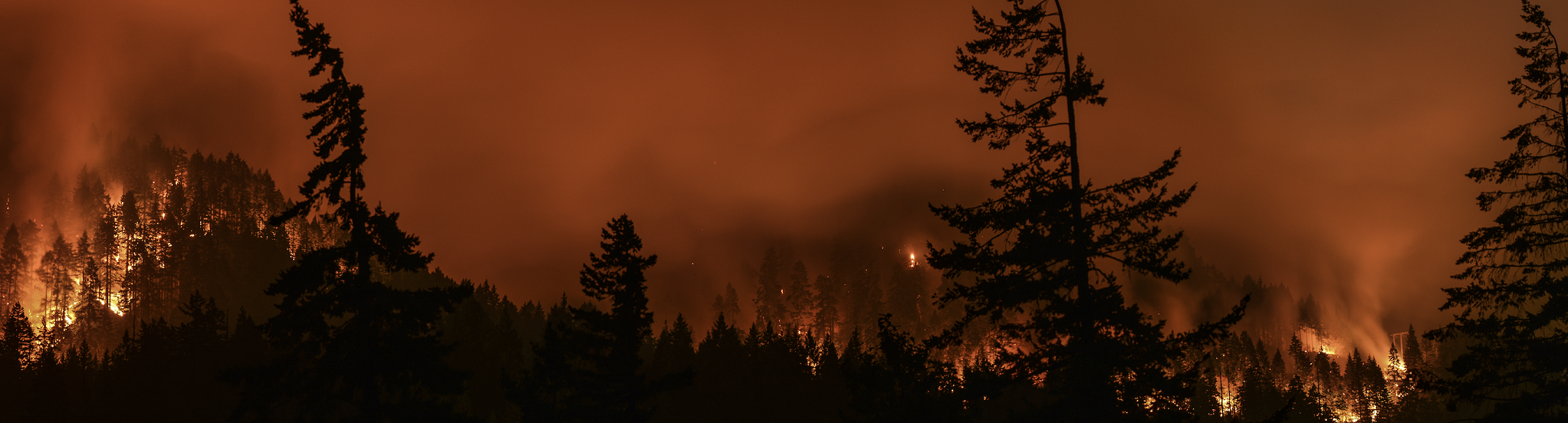 Wildfire