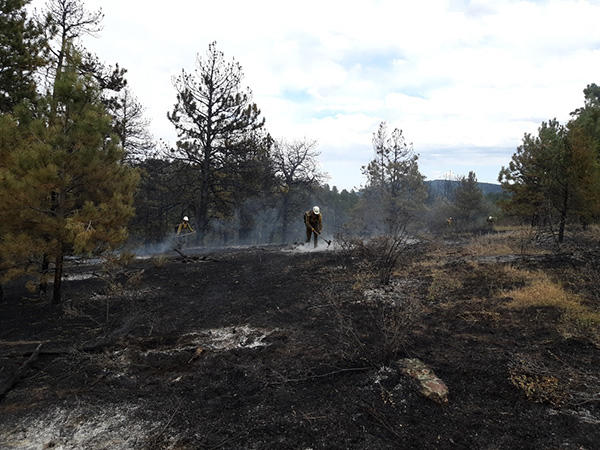 Bald Mountain wildland fire hotspots