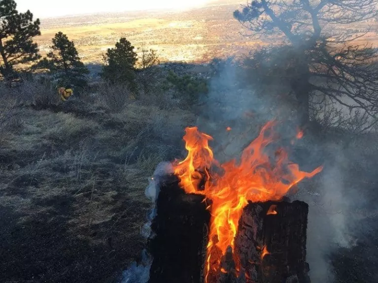 Apex Fire