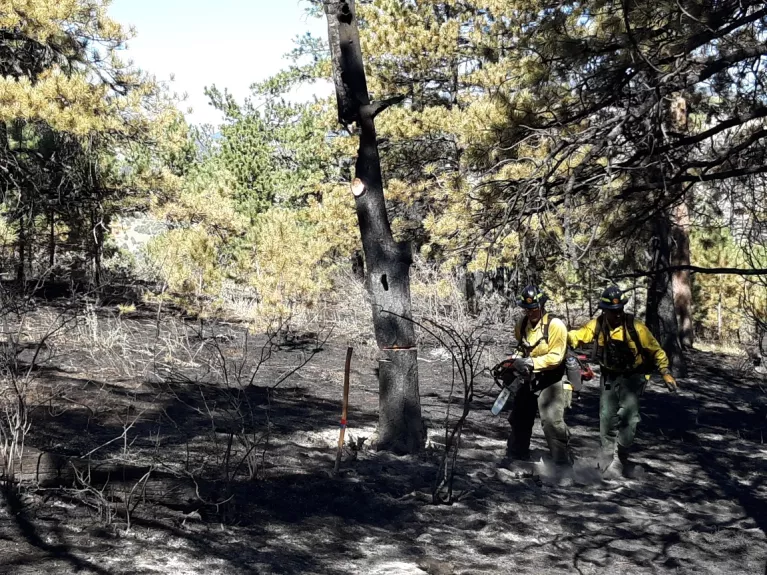 Bald Mountain Fire