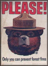 Smokey the Bear icon